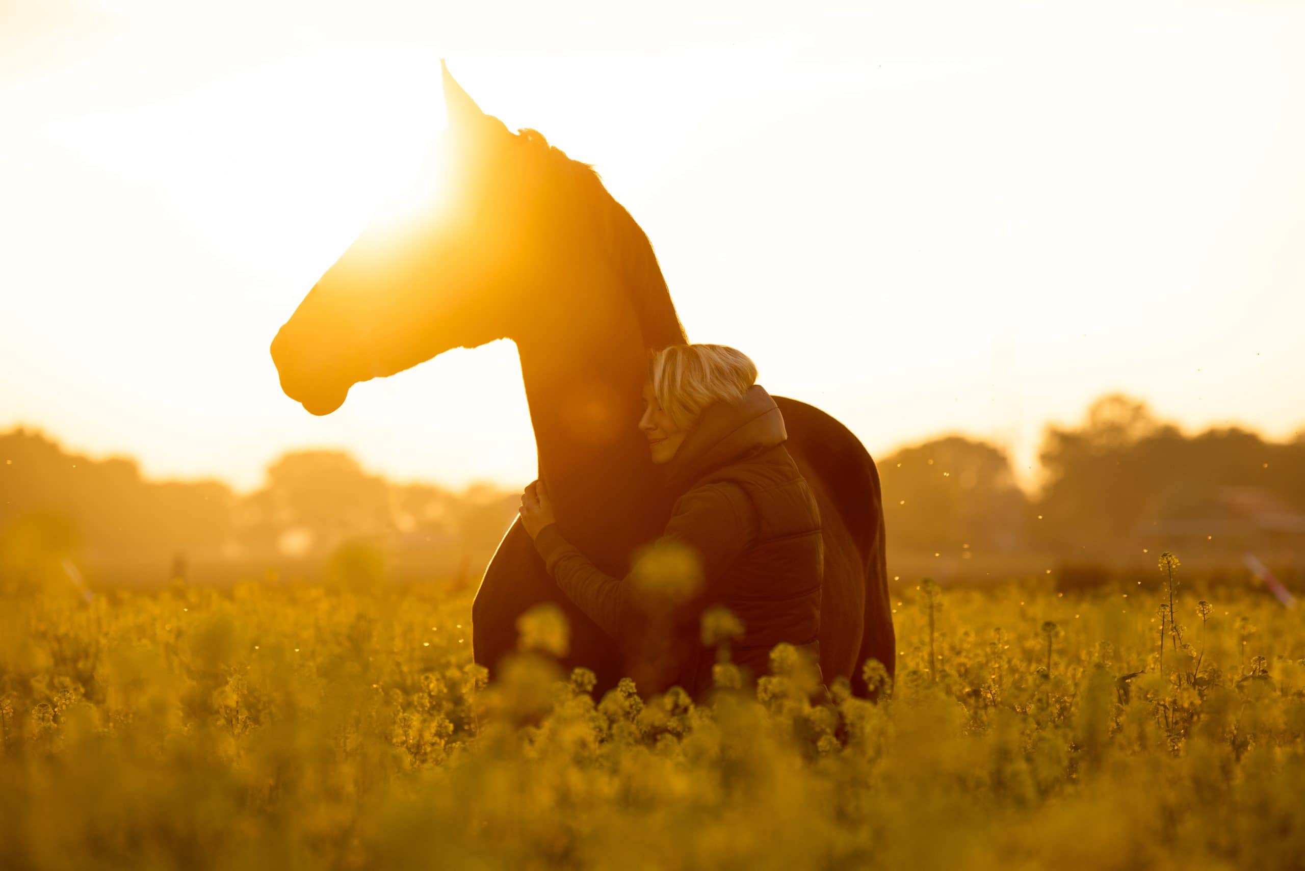 Cheval dans un pré avec sa propriétaire qui l'enlace