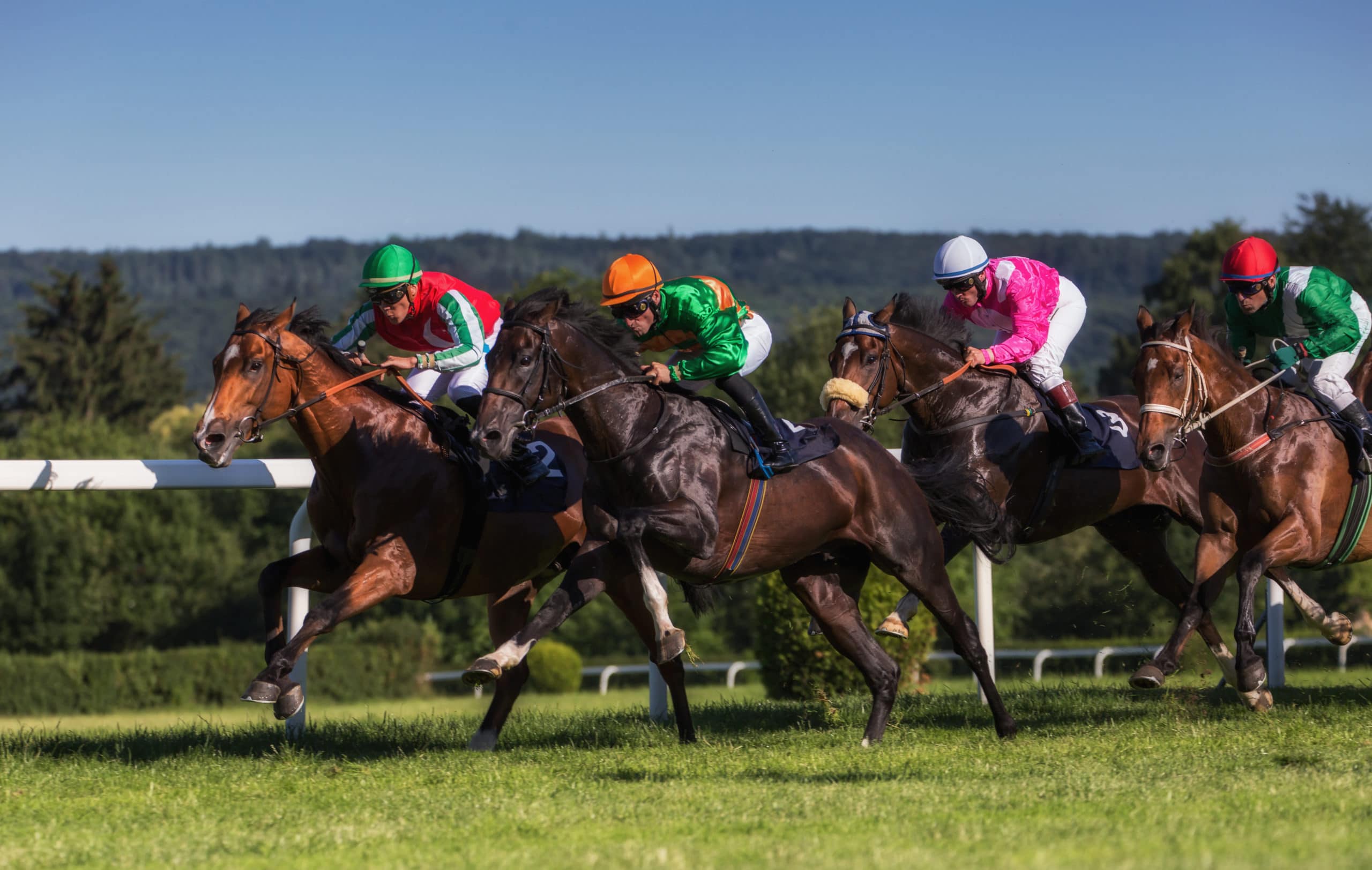 Chevaux de course en mouvement