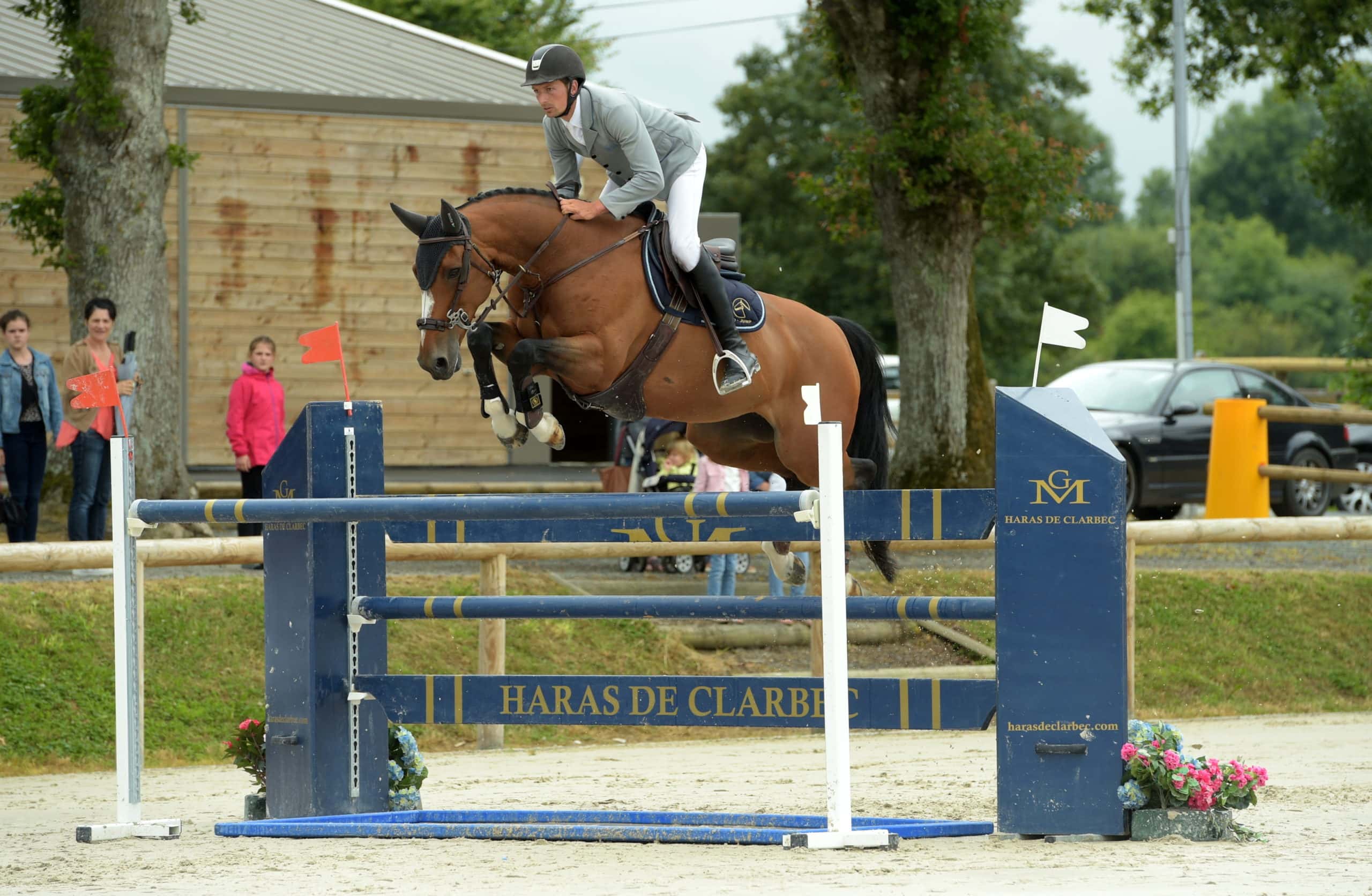 Cheval de compétition dans un concours