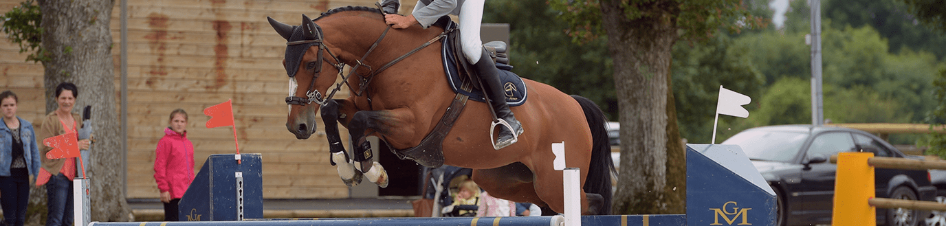 cheval de compétition dans un concours de saut d'obstacles