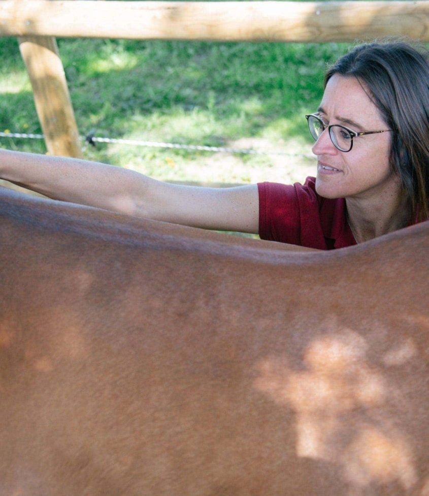 Un conseiller technique Casalys estimant le surpoids d'un cheval grâce au palpement.