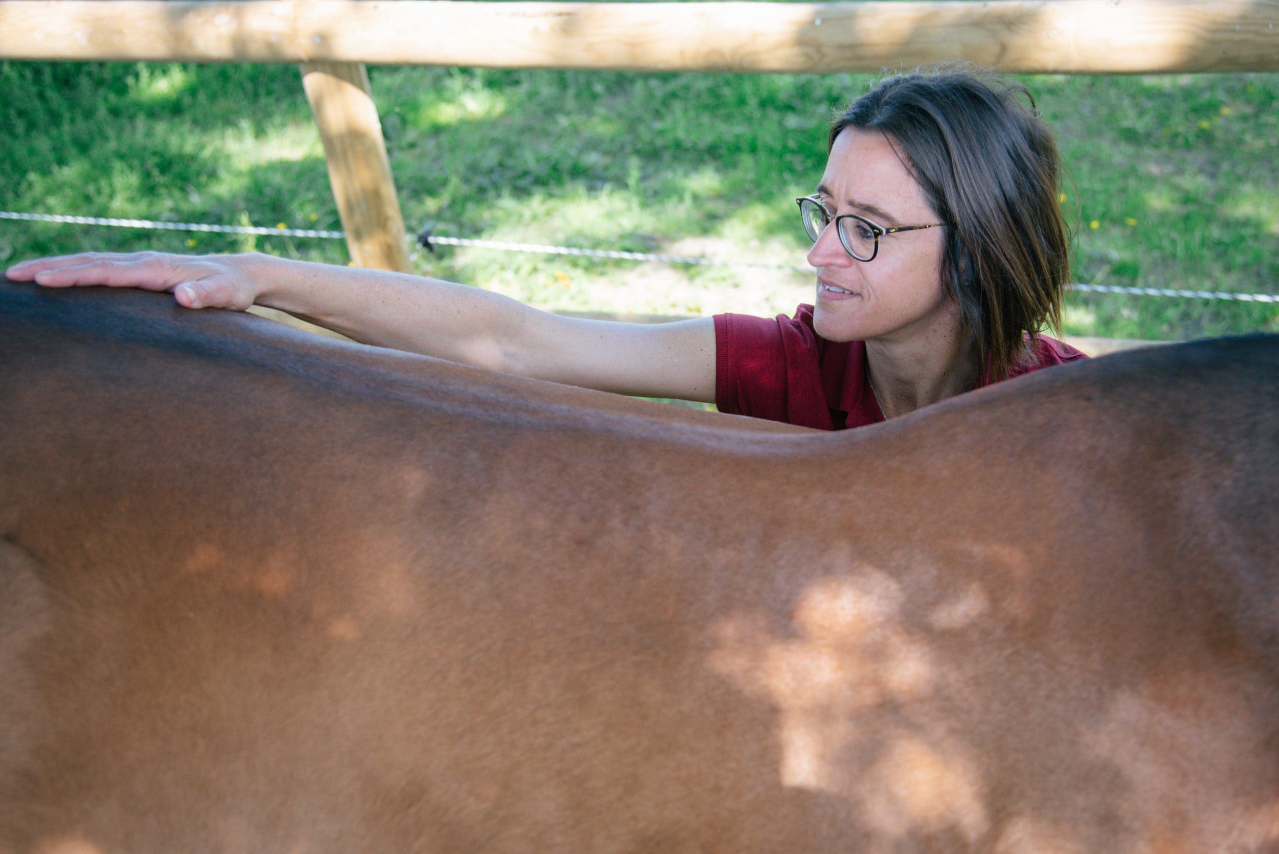 Un conseiller technique Casalys estimant le surpoids d'un cheval grâce au palpement.