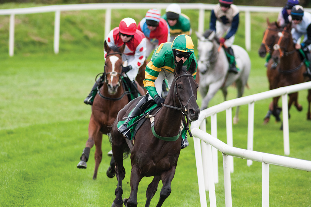 10 conseils pour nourrir votre cheval de course
