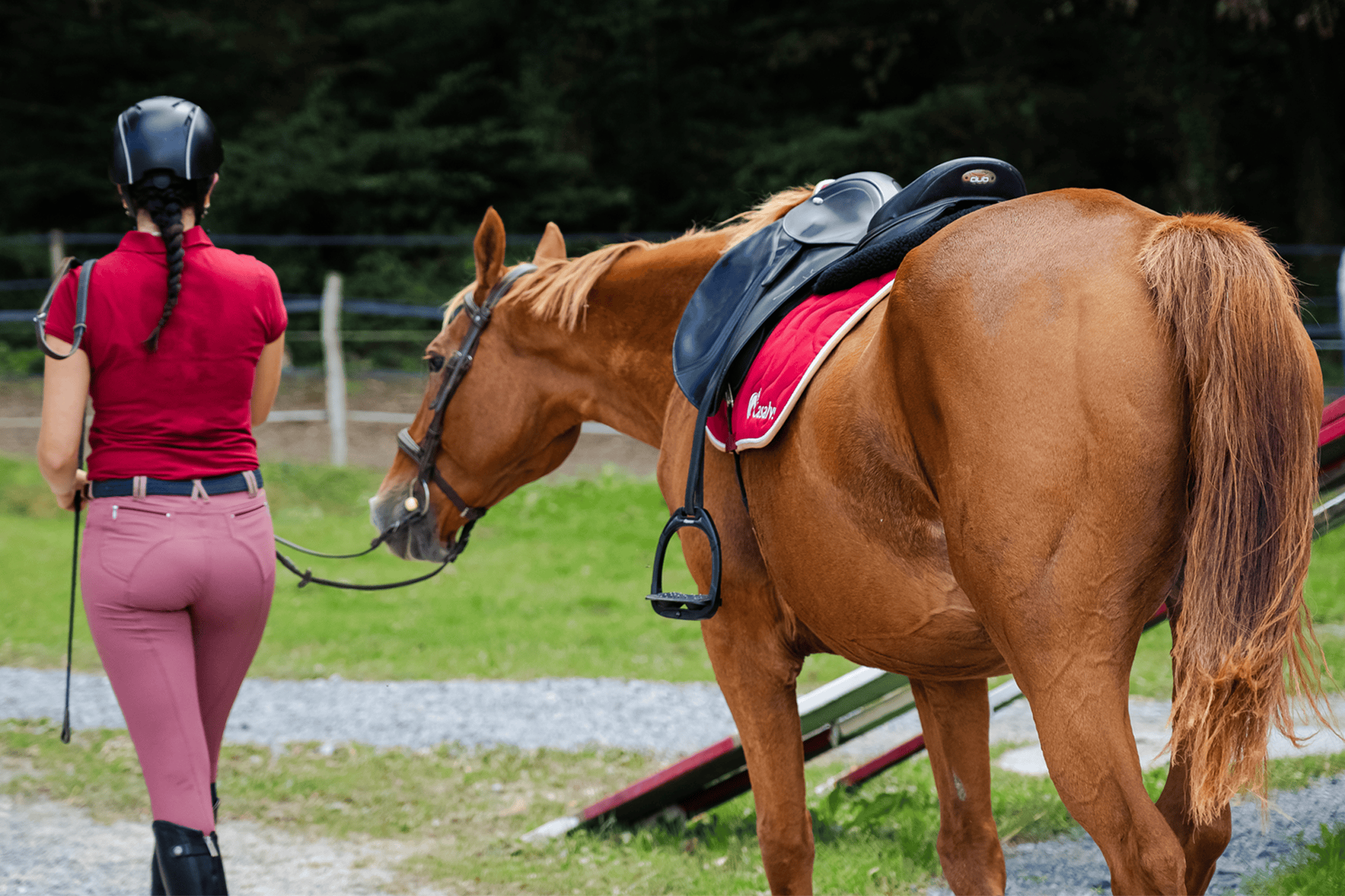 PSSM chez le cheval, comprendre et mieux gérer la myopathie de stockage des polysaccharides
