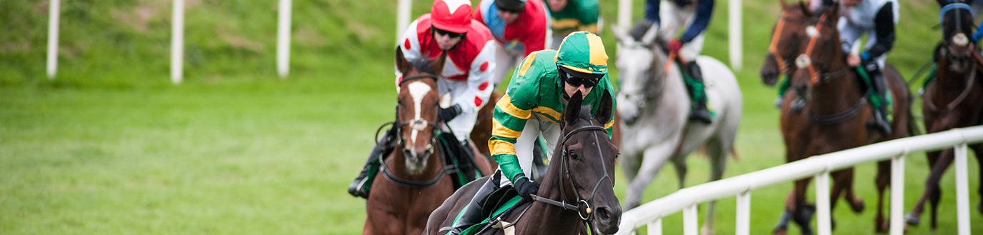 10 conseils pour nourrir votre cheval de course