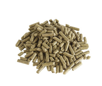 aliment bouchon casalys