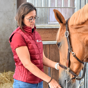 Photo d'une personne qui gère un cheval atteint de PSSM