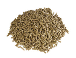 aliment granulés casalys pour chevaux