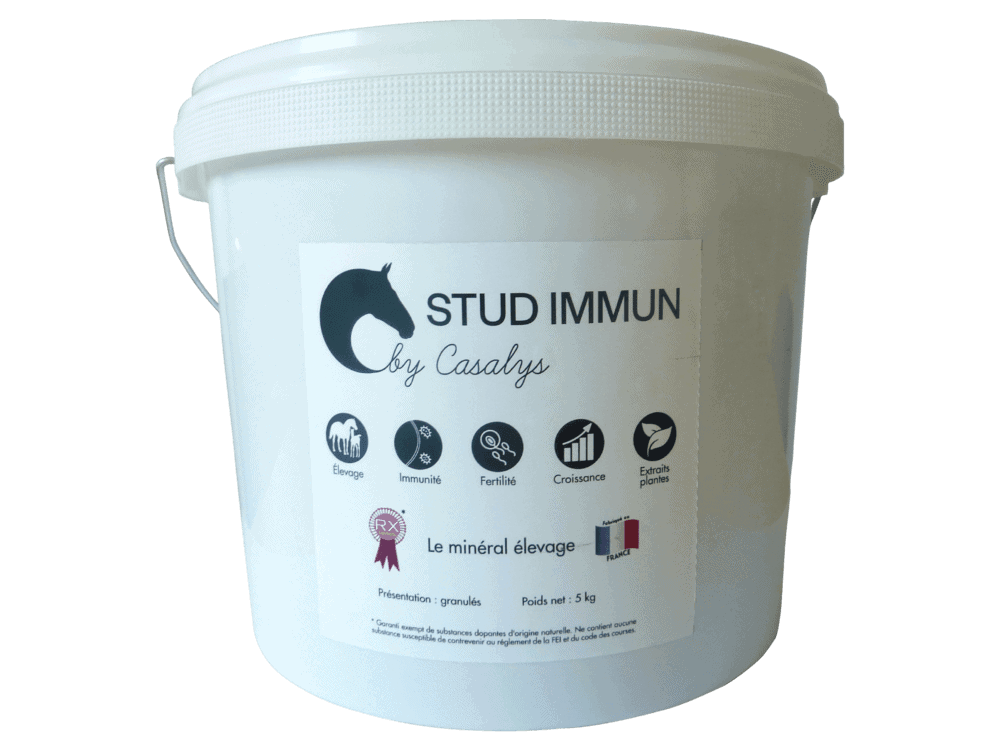 stud immun
