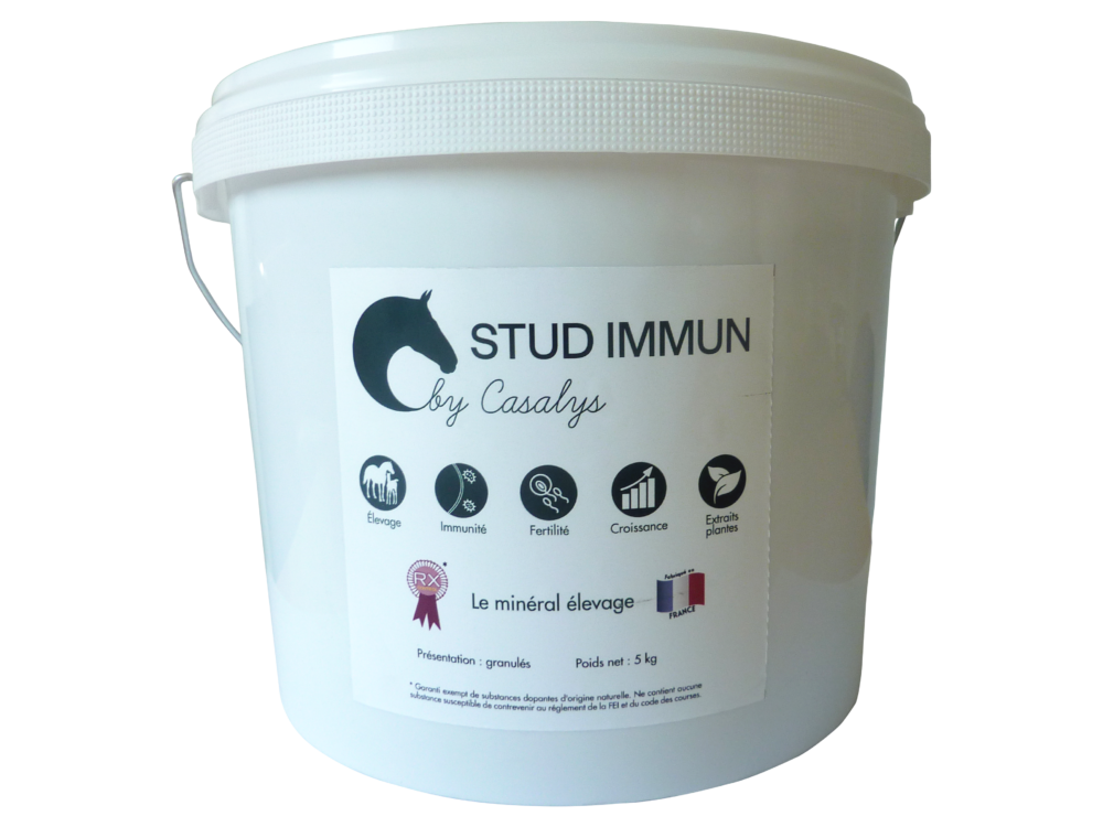 stud_immun